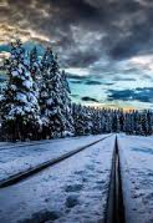 Дважды рождённый