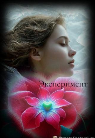 Эксперимент