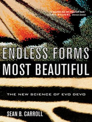 Endless Forms Most Beautiful: The New Science of Evo Devo and the Making of the Animal Kingdom