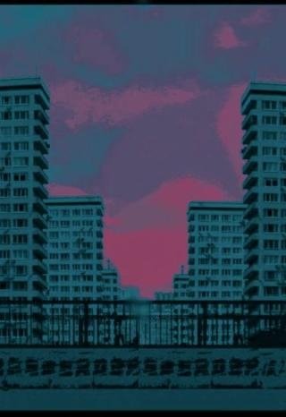 Эндоярус