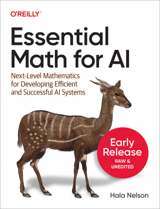 Essential Math For AI. Next-Level Mathematics for Efficient and Successful AI Systems