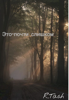 Это-почти слишком