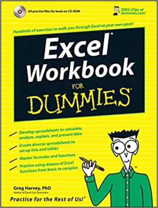 Excel® Workbook For Dummies®