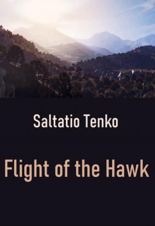 Flight of the Hawk
