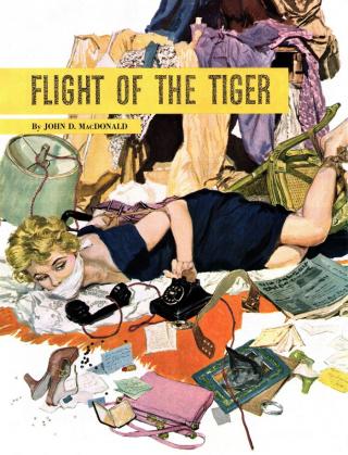 Flight of the Tiger