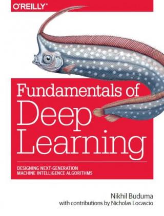 Fundamentals of Deep Learning: Designing Next-Generation Machine Intelligence Algorithms [1st Edición]