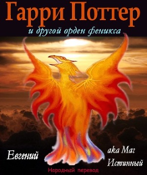 Гарри Поттер и другой орден феникса (СИ)