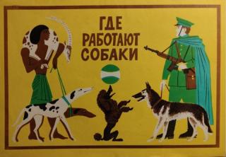 Где работают собаки