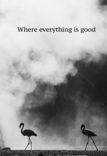 Где всё прекрасно