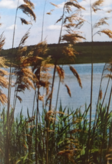 Герой и предатель