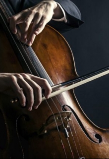 Глухой виолончелист