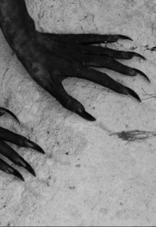 Гниль, когти и клыки