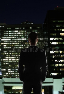 Господин Президент