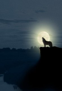 Война лишила Али всего родного — и даже простого безмятежного детства.
Трагическое одиночество приучило его к глубокому созерцательному взгляду.
Он находится в... Говорящие изнутри