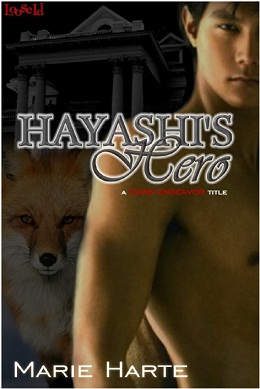 Hayashi's Hero