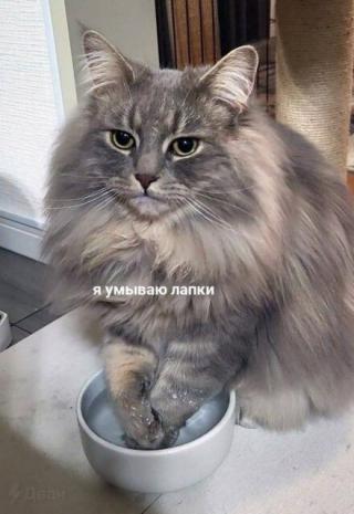 Хорошего дня!
