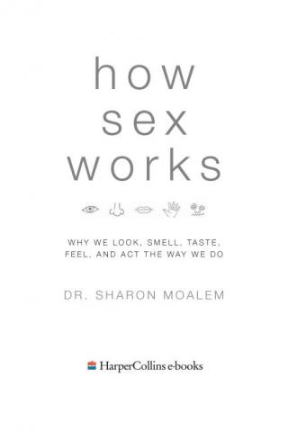 How Sex Works: Why We Look, Smell, Taste, Feel and Act the Way We Do