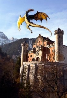 Идеальная для дракона