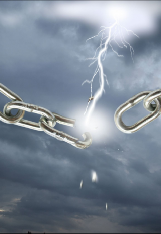 Императорский выбор (