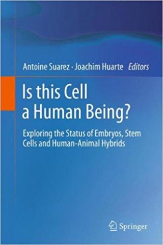 Is this Cell a Human Being?: Exploring the Status of Embryos, Stem Cells and Human-Animal Hybrids