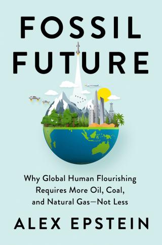 Ископаемое будущее. Почему глобальное процветание человечества требует больше нефти, угля и природного газа [ЛП]