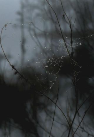 Исповедь одного человека