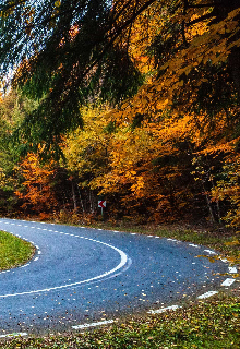 Истинная для Ректора