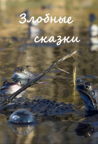 Иван-царевич