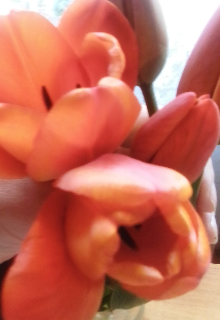 Изменяя круг