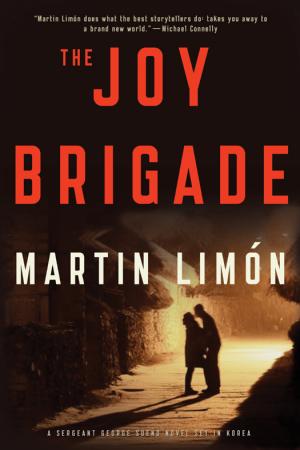 Joy Brigade