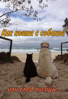 Как кошка с собакой или след лисицы...