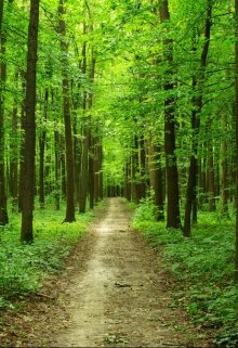 Как находят друзей