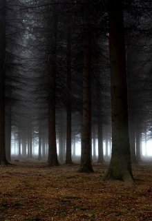 как попасть в прошлое или как изменить будущее