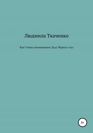Как Степка помощником Деда Мороза стал