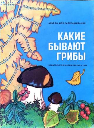Какие бывают грибы [Худ. Ю. Клопов]