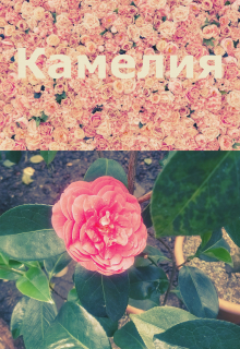 Камелия