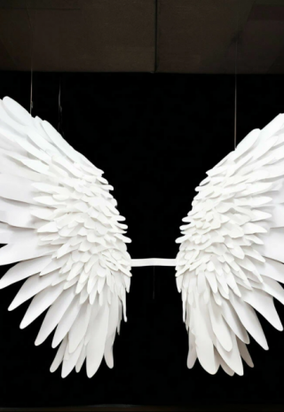 Картонные крылья