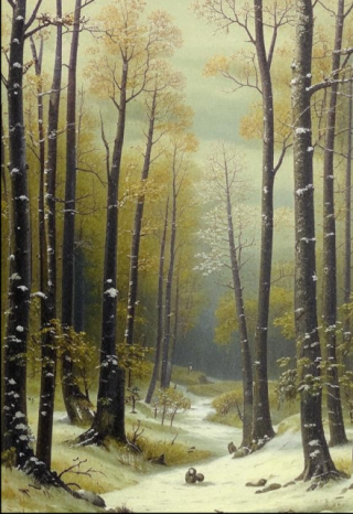 Кажется, мы потерялись