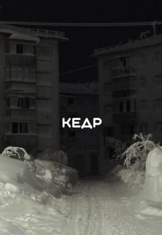 Кедр