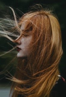 Книга отзывов по прочитанным романам