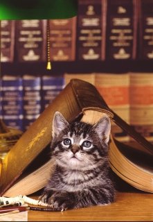 Книжная полка