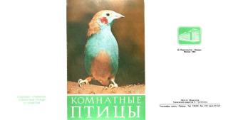 Комнатные птицы