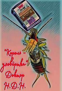 Начинающий писатель одержимый идеей написания цикла книг о прошлых реинкарнациях своей души, рвет связи с окружающим миром: бросает работу, семью, друзей,... Король – уховёртка