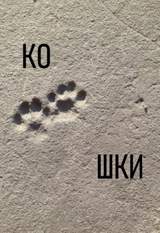 Кошки
