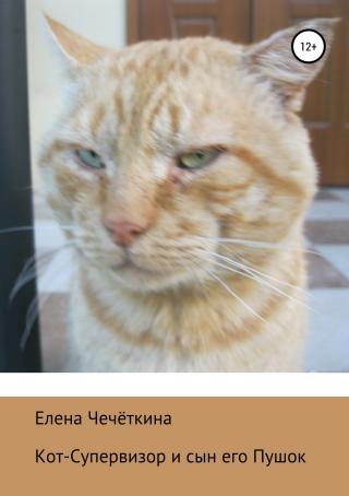 Кот-Супервизор и сын его Пушок [СИ]