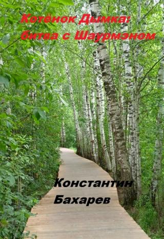 Котёнок Дымка: битва с Шаурмэном