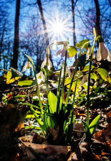 Креативное солнце жизни