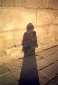 Крошка миссис Перкинс