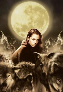 Кровь и шоколад