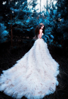 Куда я вляпалась?